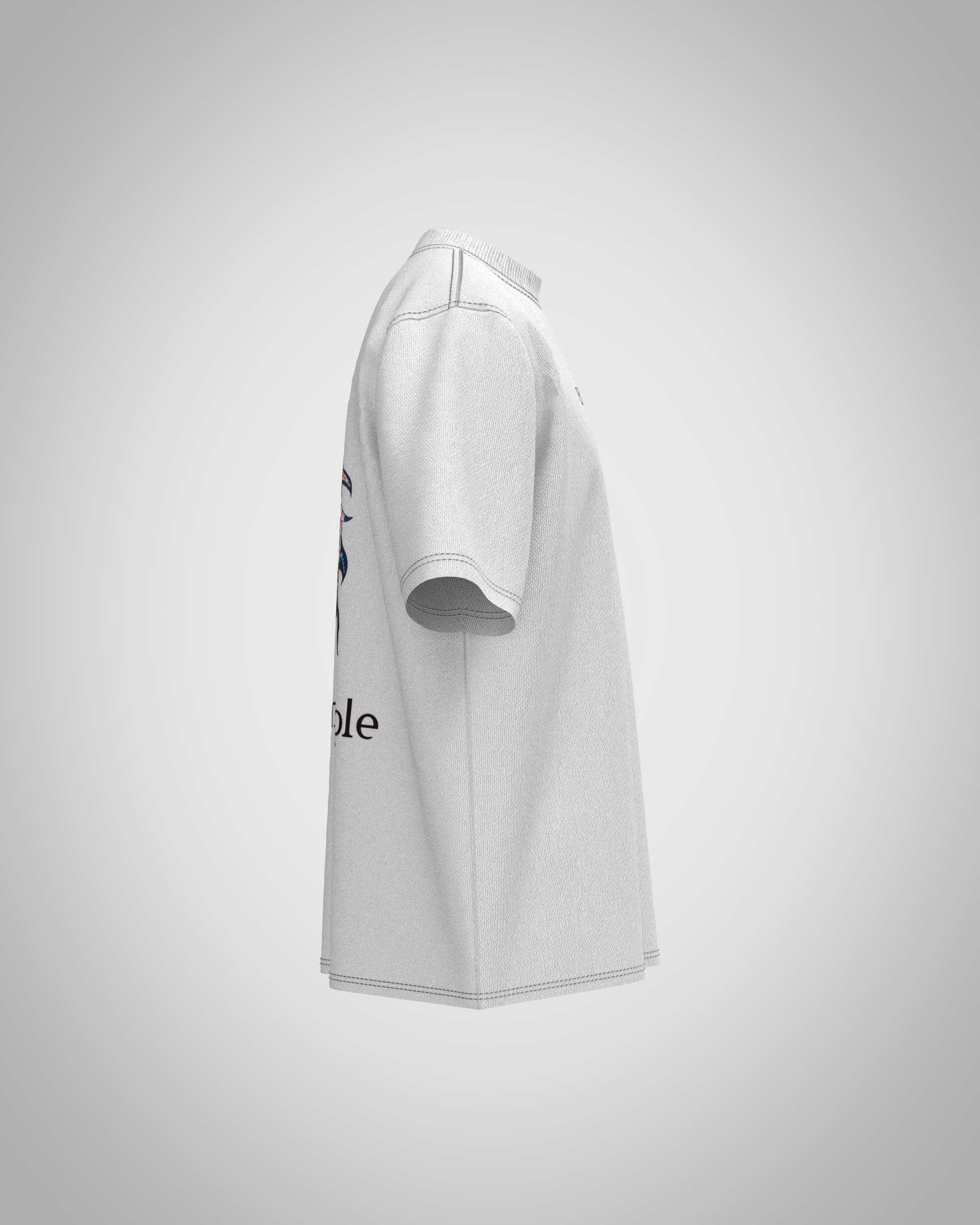 “Ethnic Eagle” Graphic T-Shirt – Vibrant Artistic Edition