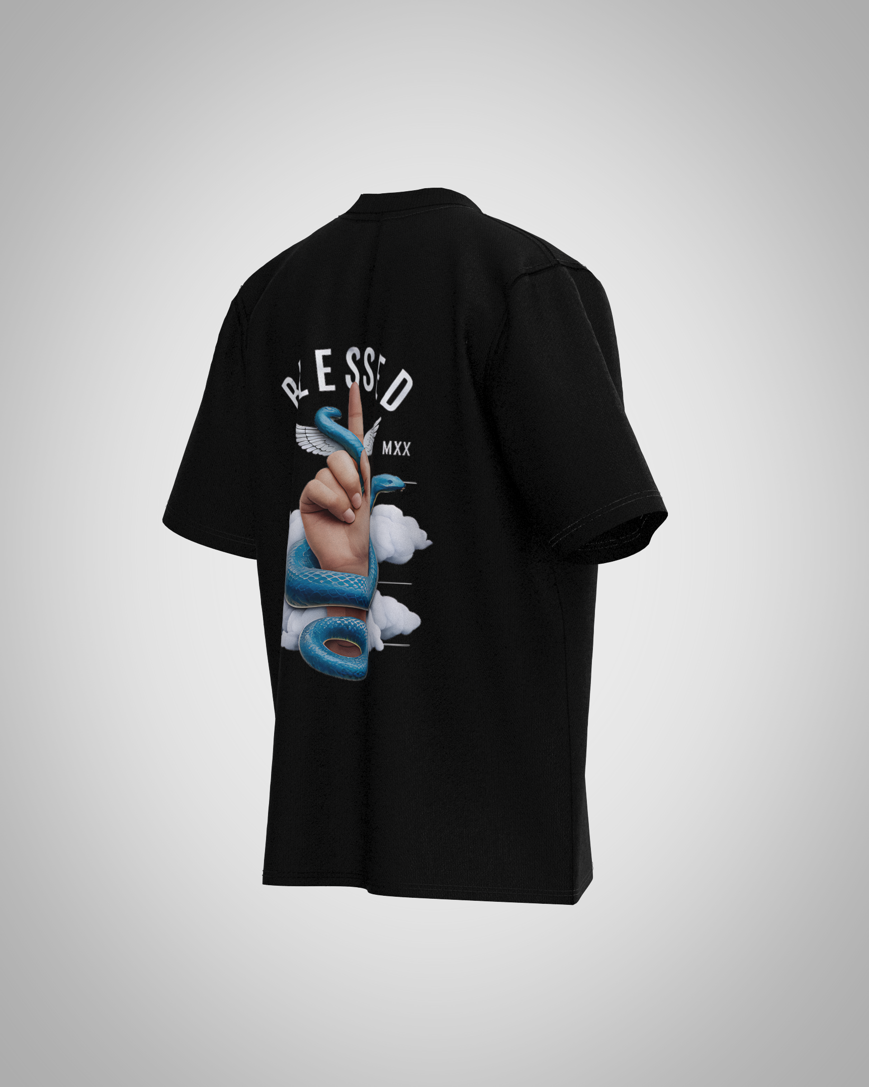 “Blessed” Snake & Hand Graphic T-Shirt – Symbolic Streetwear Edition