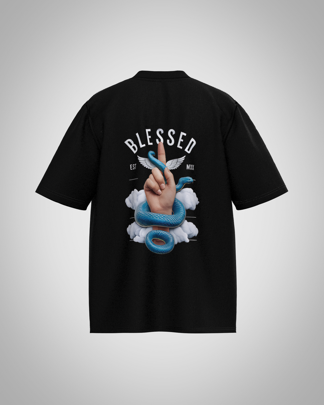 “Blessed” Snake & Hand Graphic T-Shirt – Symbolic Streetwear Edition