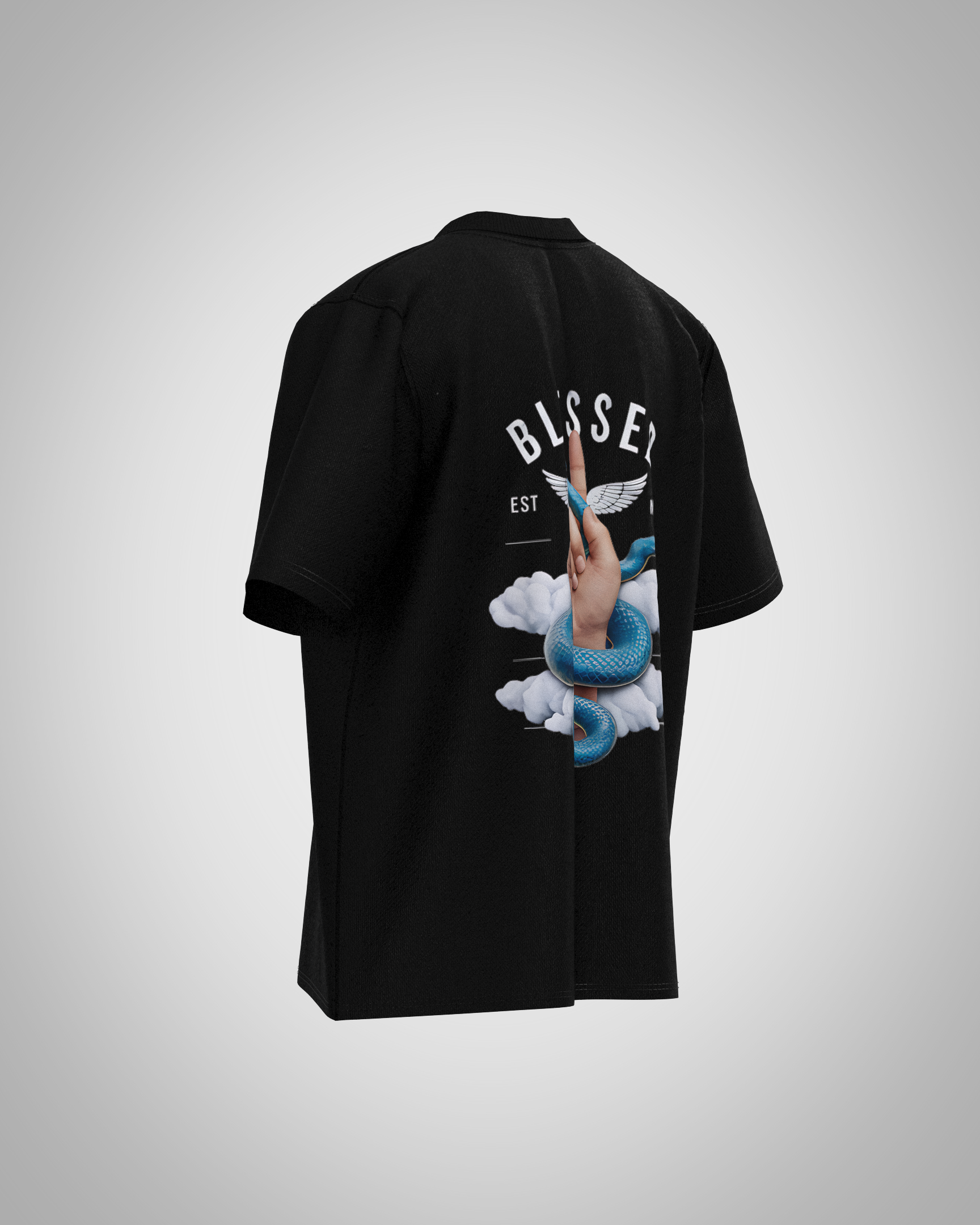 “Blessed” Snake & Hand Graphic T-Shirt – Symbolic Streetwear Edition